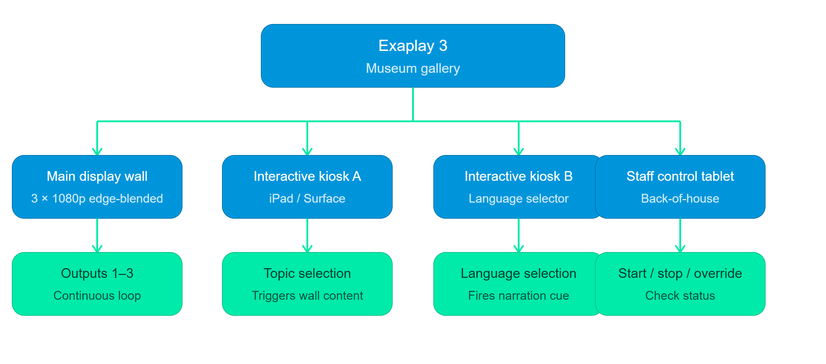 Museum installation topology